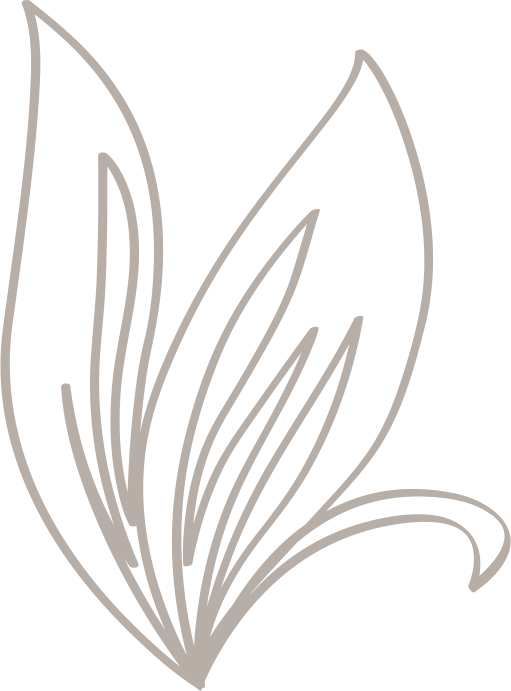 Abstract Bird Illustration